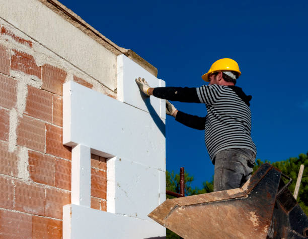 Best Attic Insulation Installation  in Irvington, KY