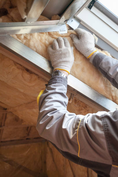 Best Spray Foam Insulation  in Irvington, KY