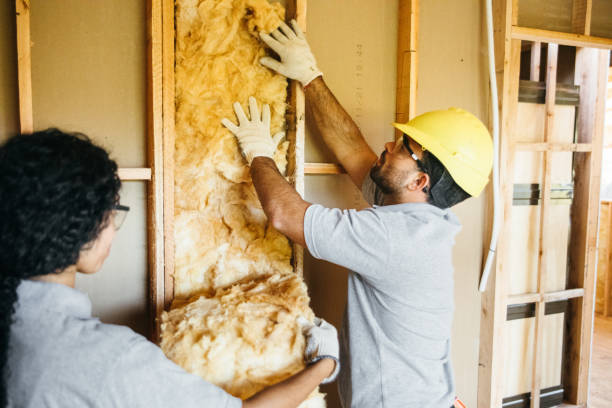 Best Insulation Repair Services  in Irvington, KY