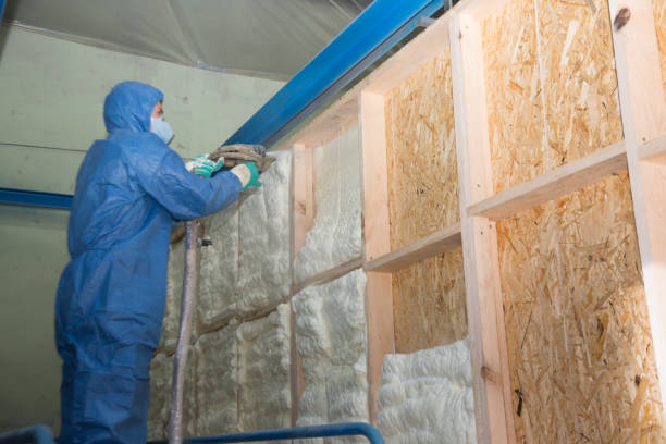 Best Insulation Contractor Near Me  in Irvington, KY